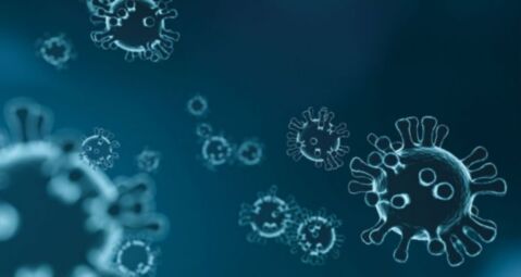 https://www.biokapper.be/RepositoryFiles/Achtergrondafbeeldingen/Algemeen/coronavirus.jpg